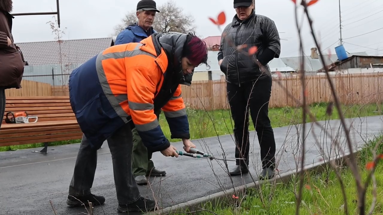 Саратовских озеленителей научат правильно обрезать деревья и кустарники